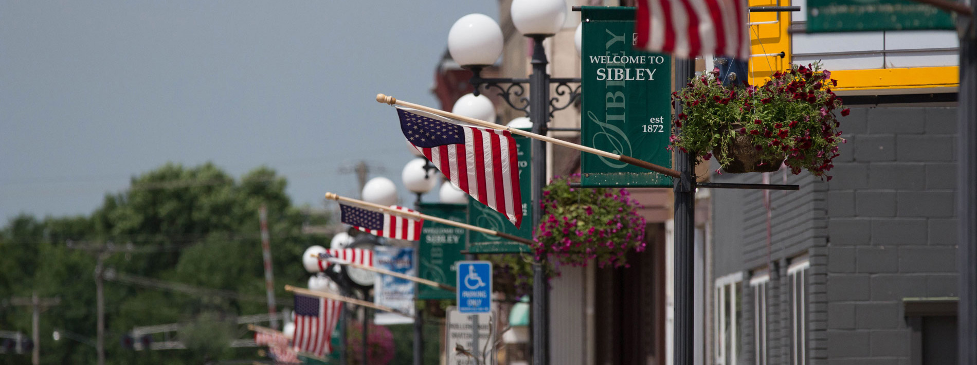 #SibleyReads banner image