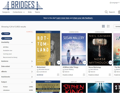 image of the Bridges homepage